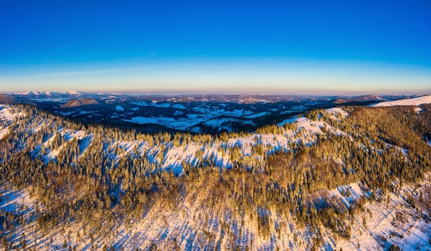 太陽と青い空と晴れた晴れた日に雪とモミの木で覆われた山の丘の美しい冬のパノラマ。原始的な自然の美しさの概念