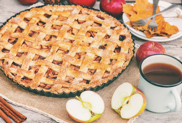 Photo pie with apples and cinnamon.