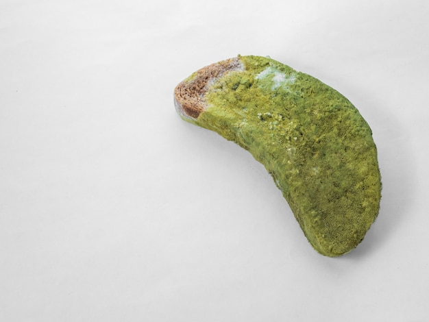A piece of bread covered with green mold on a white background isolate.
