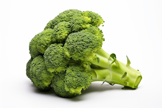 a piece of broccoli is shown on a white surface