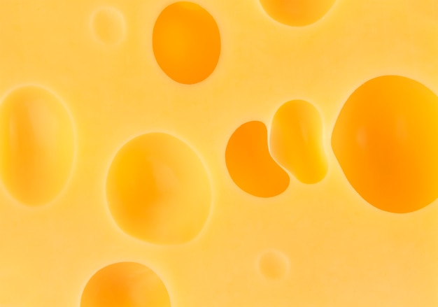 Piece of cheese close up