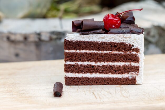 Piece of chocolate cake with vanilla frosting and cherry jelly, topped with white cheese