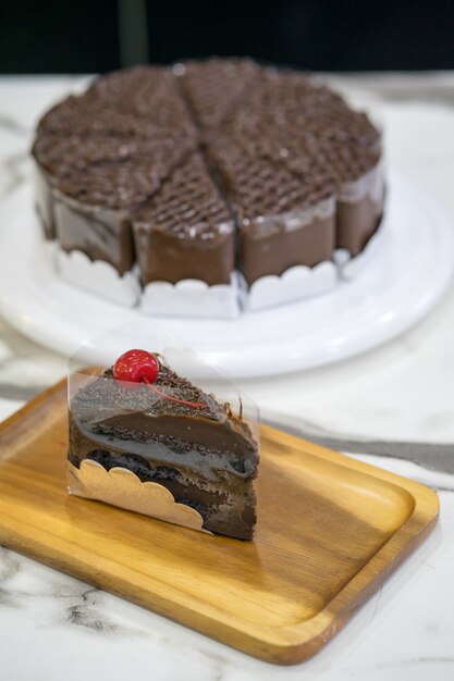 Piece of delicious chocolate cake on plate