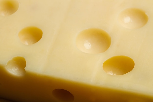 Piece of emmental cheese in a close up view