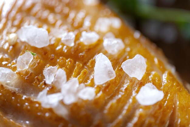 A piece of fried duck sprinkled with sea salt crystals Macro