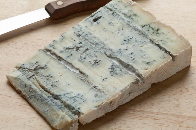 Piece of Gorganzola cheese