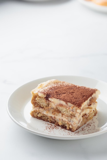 Piece of Homemade Tiramisu cake dessert