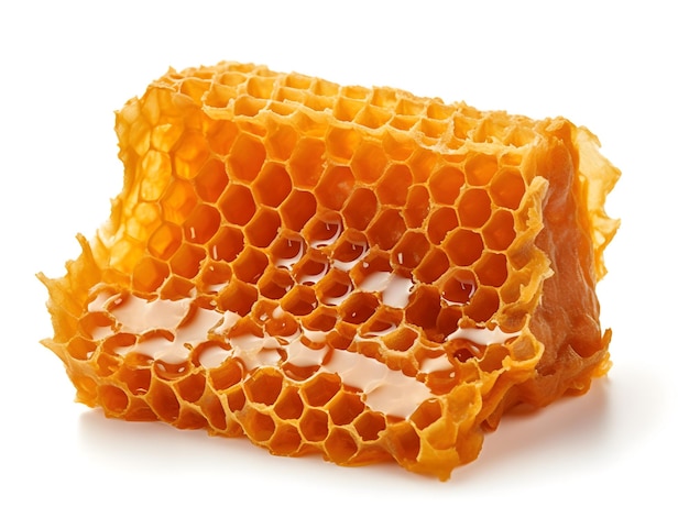 A piece of honeycomb with a honeycomb on it