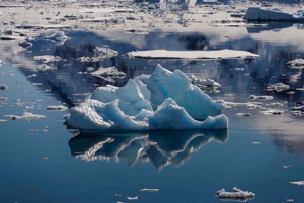 Piece of ice in water