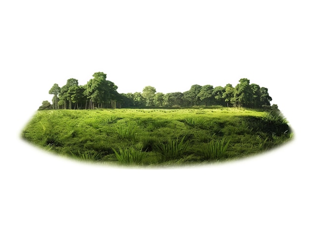 Piece of land with grass field and trees Composition Floating island with green grass and trees