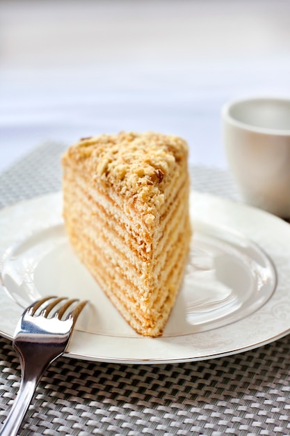 Piece of layer cake with custard and walnuts on a plate. Selective focus