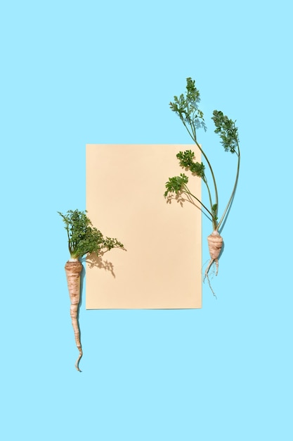 A piece of paper decorated with parsley roots with green leaves on a blue background with copy space