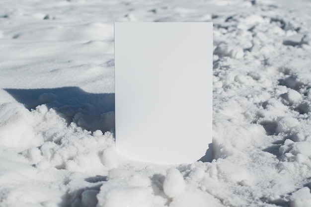 a piece of paper sitting in the snow