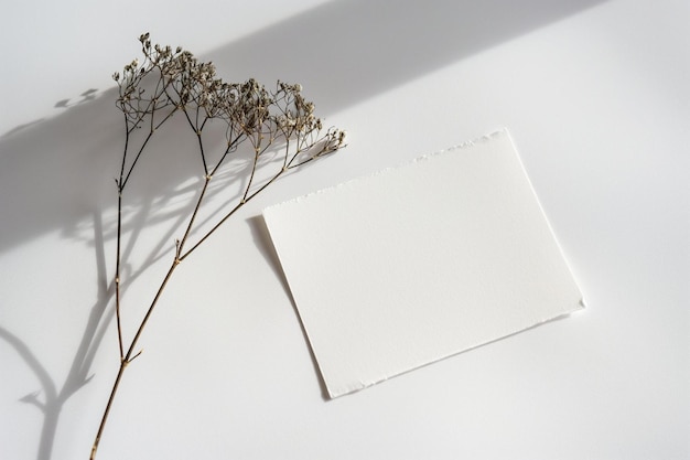 лист бумаги на столе рядом с растением