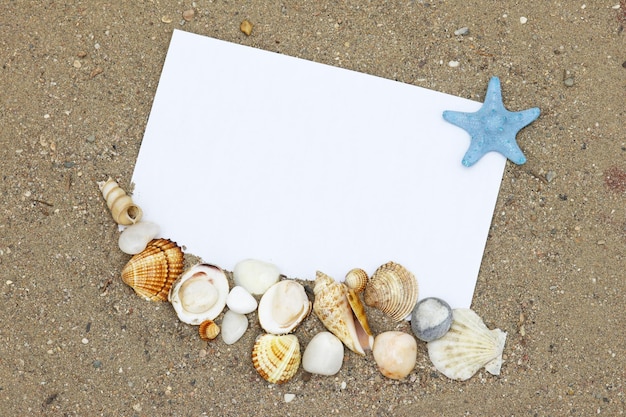Лист бумаги с ракушками и морской звездой на нем