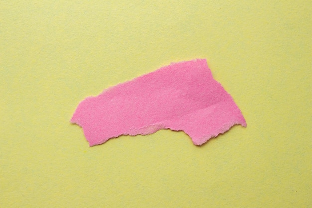 ちぎれてちぎられたピンク色の紙切れ。