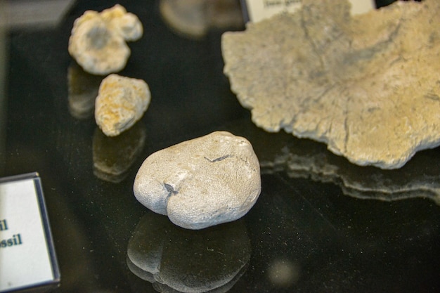 A piece of rock on a table with a sign that says'the word rock'on it