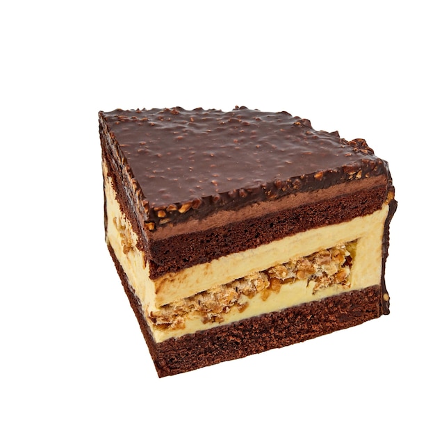 a piece of squirrel cake based on chocolate biscuit custard meringue with nuts chocolate glaze