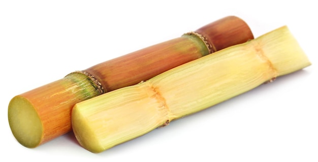 Piece of sugarcane over white background