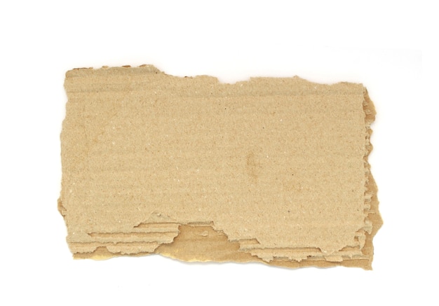 Piece of torn paper cardboard