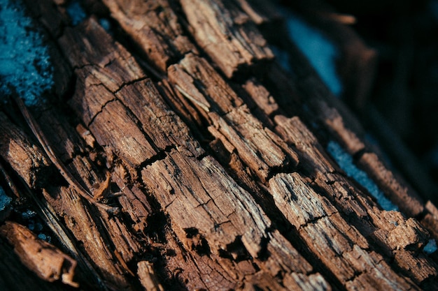 A piece of wood with a crack in it