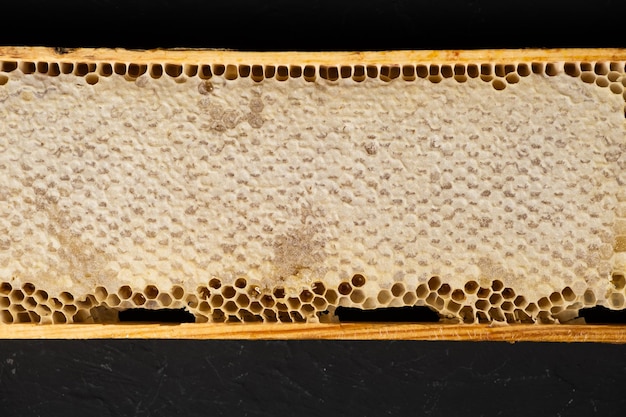 Pieces honeycomb with honey on a dark wooden backgroundTop view Copy space