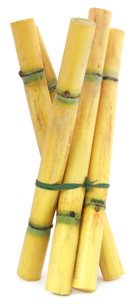 Pieces of sugarcane over white background