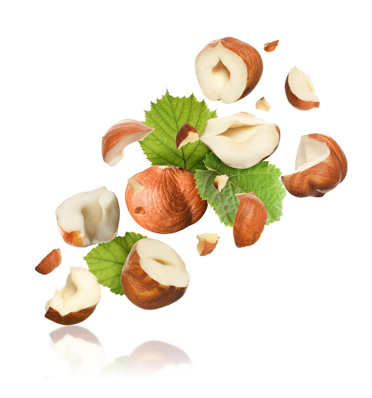 Photo pieces of tasty hazelnuts falling on white background