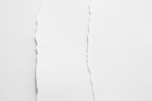 テキストのコピースペースと破れた紙のテクスチャの背景の断片
