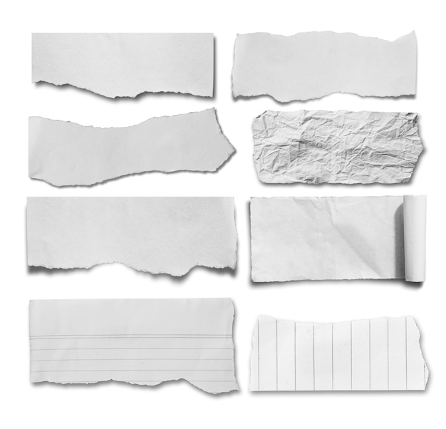 pieces of torn paper on white background with copy space for text