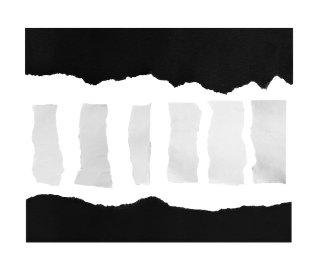 pieces of torn paper on white background with copy space for text