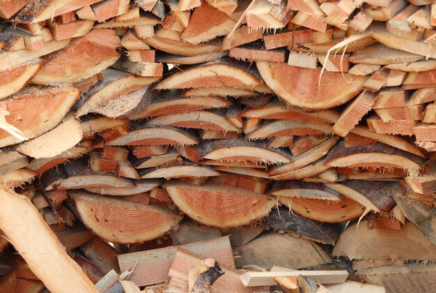 Photo pieces of wood in a woodcock in winter