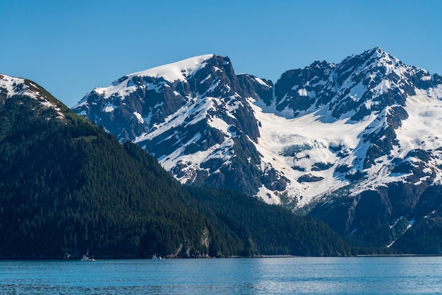 Piek van de berg met uitzicht op seward in alaska