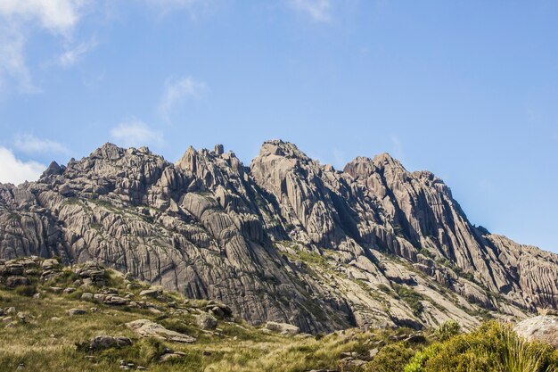 Piek van zwarte naalden Itatiaia