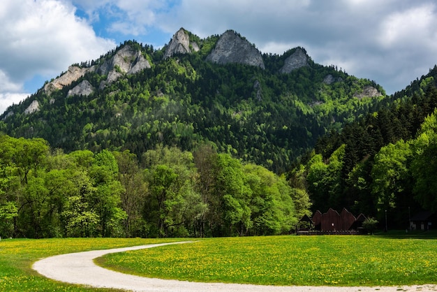 Pieniny-gebergtelandschap in Polen in het voorjaar