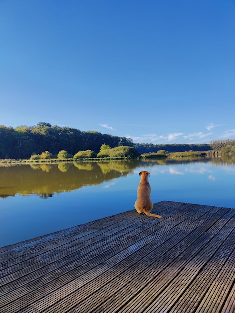 Foto il molo sul lago contro un cielo blu limpido