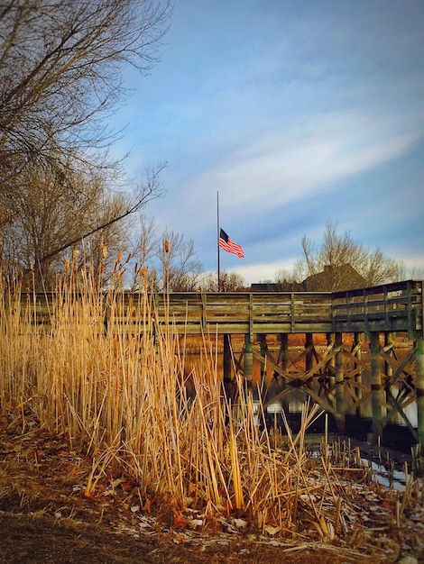 Pier on lake by field against sky