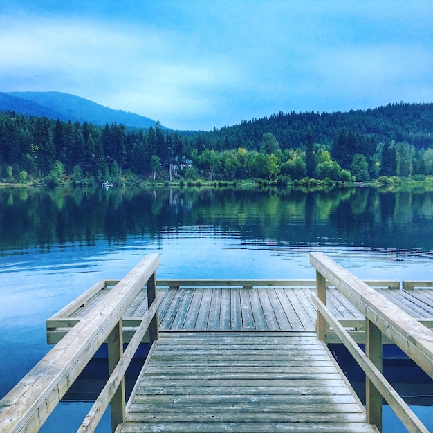 Foto pier sopra il lago nella foresta