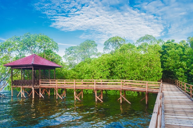 Pier over lake