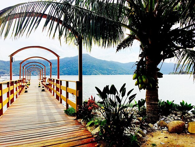 Photo pier over lake