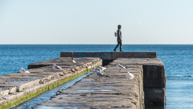 Pier op het strand in de winterdag