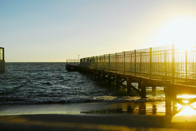 写真 夕暮れの晴れた空を背景に海を眺める