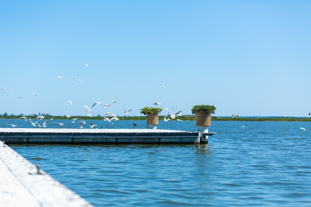 Pier on the river bank.