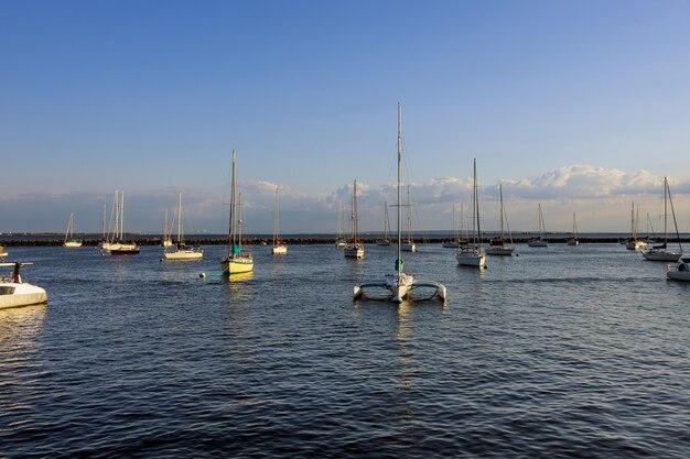 Pier speedboat a beautiful view of a large marina full of boats in a large bay