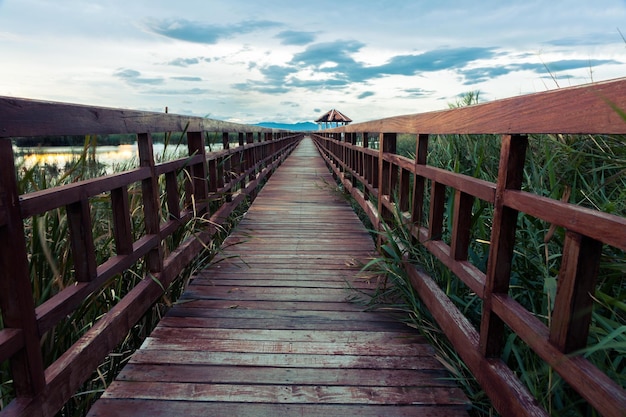 Pier tegen de lucht
