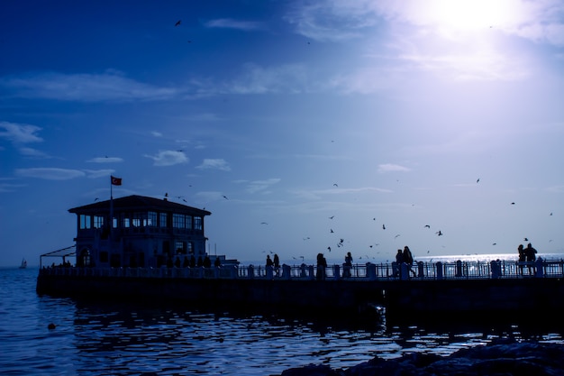 Pier view with birds and people