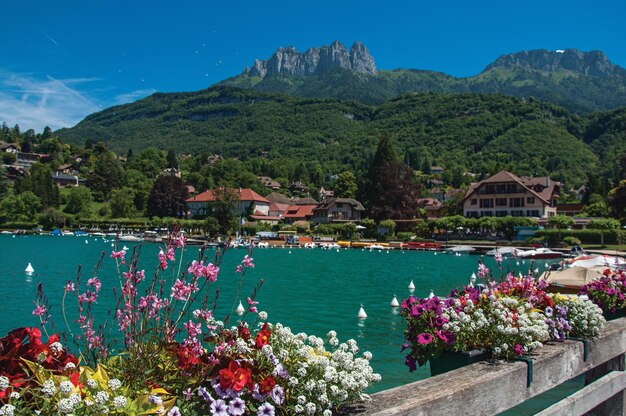 Pier with flowers on the annecy lake at the village of talloires france