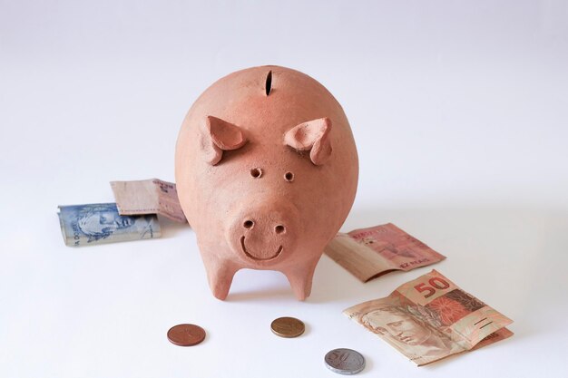 Pig coin with Brazilian money and coins isolated on white background