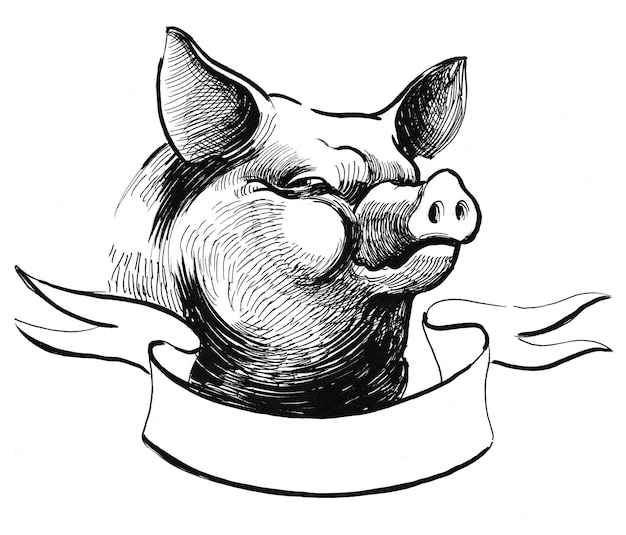 Pig head and blank banner. Ink black and white drawing