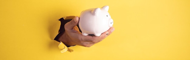 Pig piggy bank holding by hand